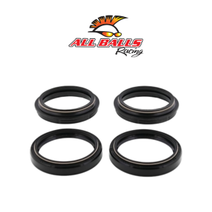 JGO RETENES TELESCOPICA Y GUARDAPOLVO ALL BALLS (48x58,2x13)