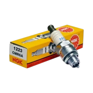 BUJIA NGK CMR6A