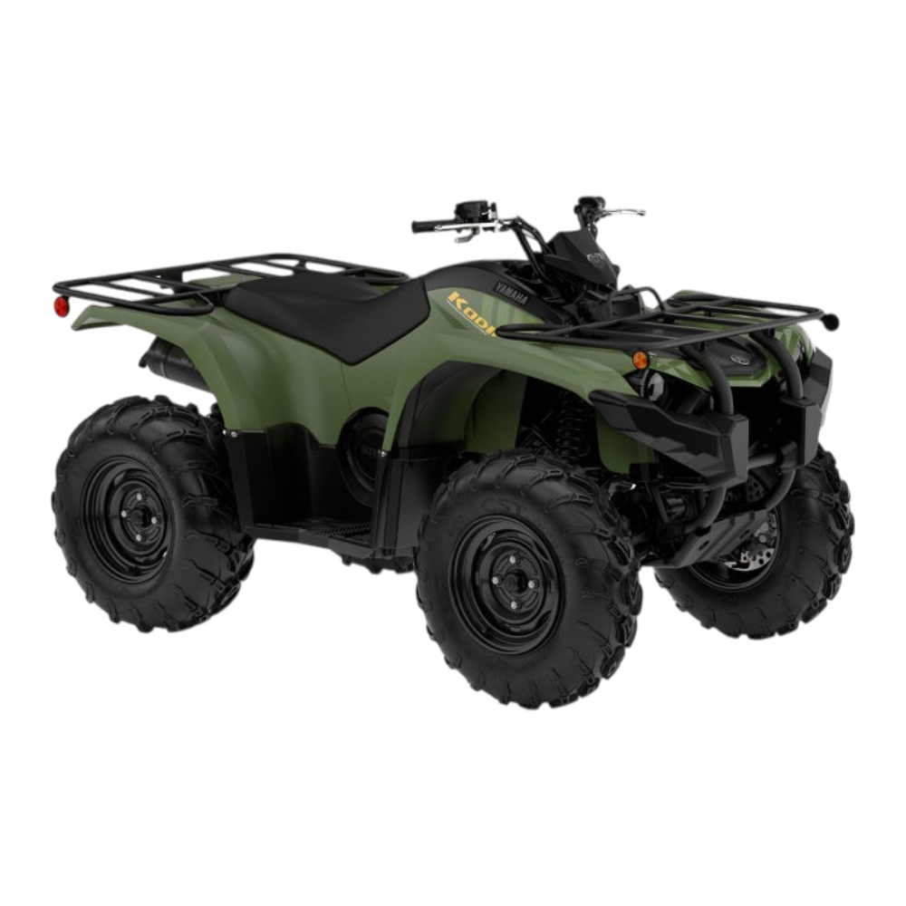 YAMAHA KODIAK 450 - Imagen 2