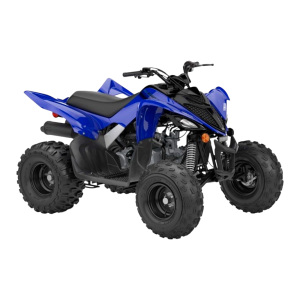 YAMAHA RAPTOR 110