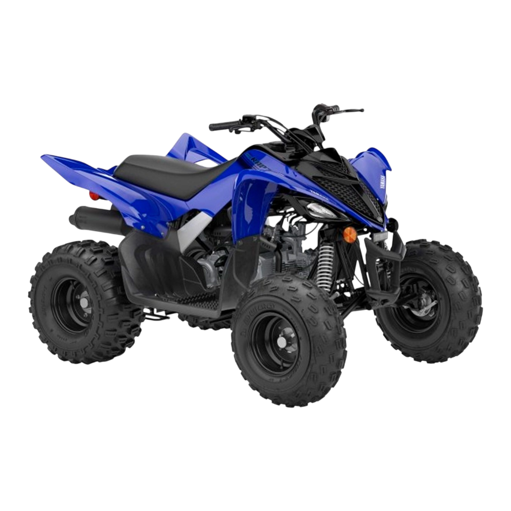 YAMAHA RAPTOR 110